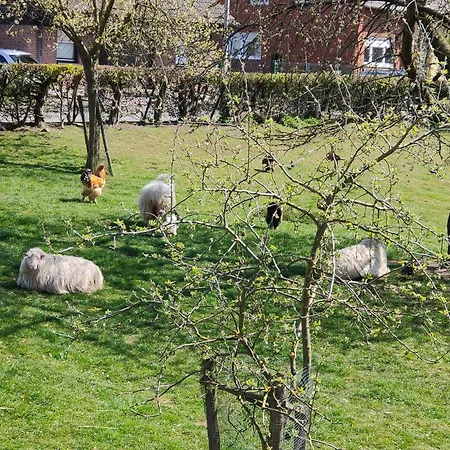 Neue 'caracterre' Auch Monteur- Und Langzeitvermietung Apartmán Waldfeucht