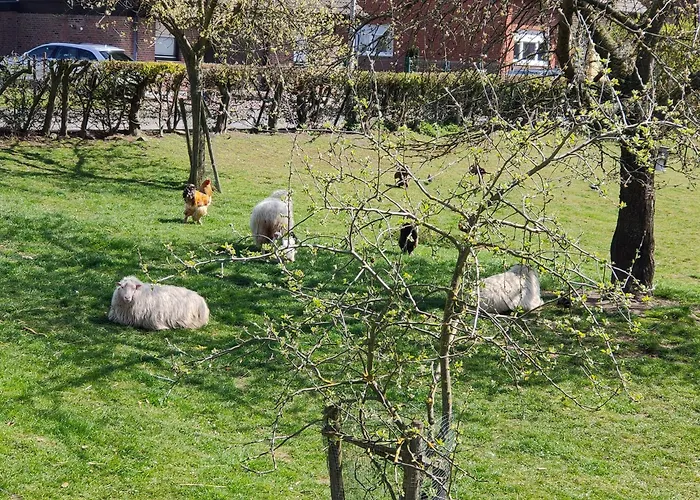 Neue 'caracterre' Auch Monteur- Und Langzeitvermietung Apartament Waldfeucht